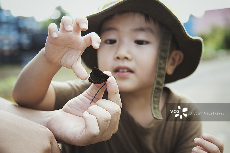 男孩观察父亲手中的蜻蜓图片素材