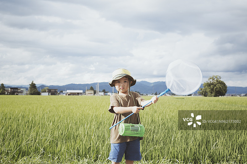 男孩捉昆虫图片素材