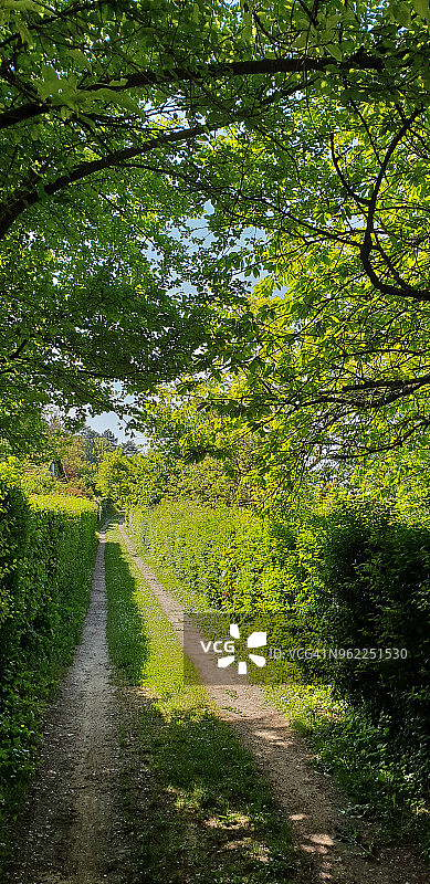 村庄小路图片素材