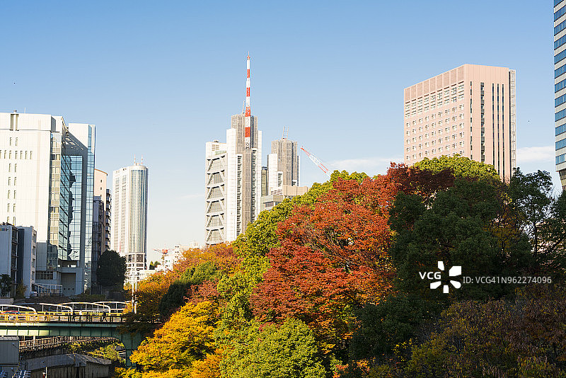 2017年11月25日，色彩缤纷的秋叶树木伫立于神田川畔，朝向本乡的御茶之水地区高层建筑，位于日本东京文京区。图片素材