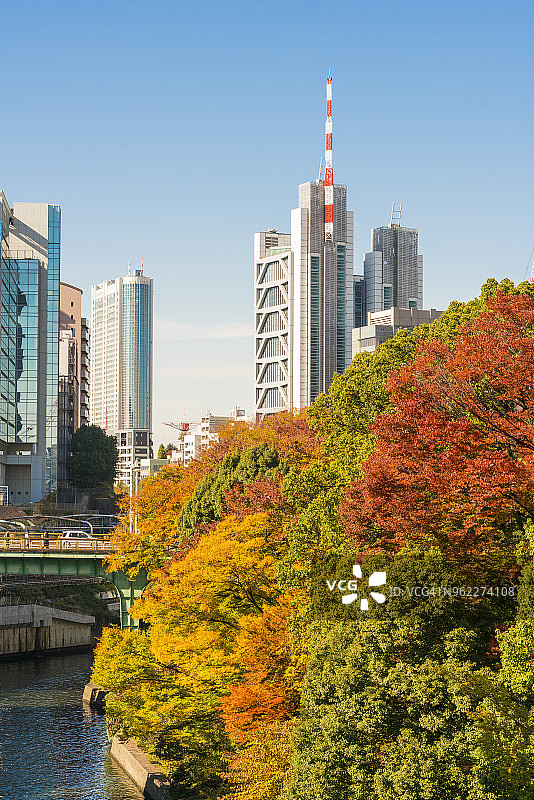 2017年11月25日，色彩缤纷的秋叶树木伫立于神田川畔，朝向本乡的御茶之水地区高层建筑，位于日本东京文京区。图片素材