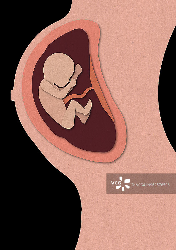 母亲腹中婴儿插画图片素材