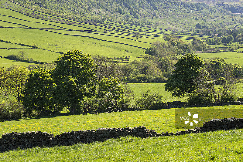 英格兰北约克荒原的大弗赖厄普谷地图片素材