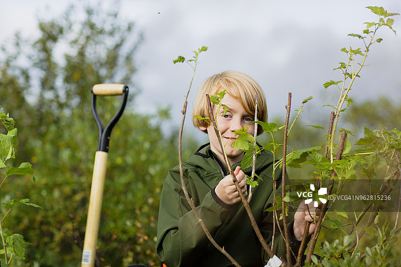 男孩站在田野植物旁的肖像图片素材