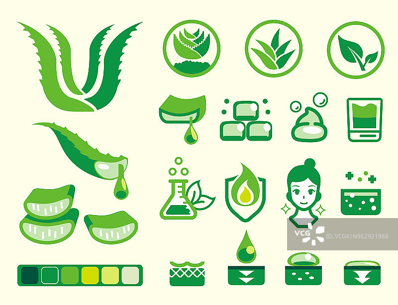 芦荟基本属性彩色图标集图片素材