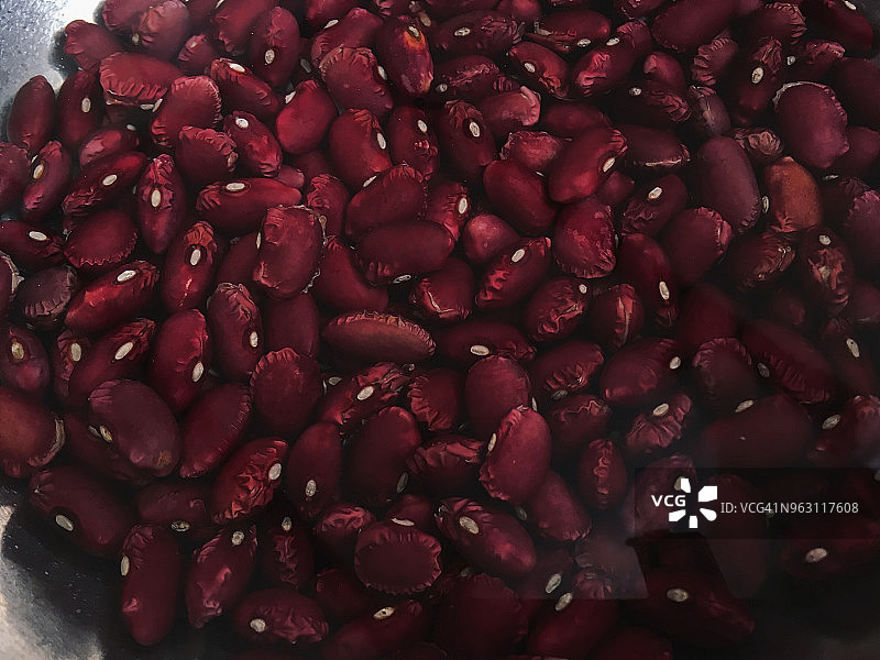 水中的红腰豆图片素材