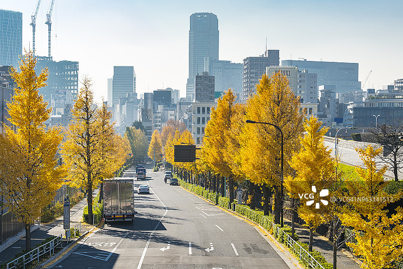 2017年11月26日，东京涩谷原宿神宫前，街道两旁排列着成排的秋叶银杏树，环绕着交通。图片素材