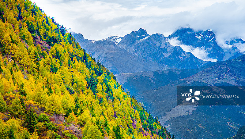 中国亚丁的秋天图片素材