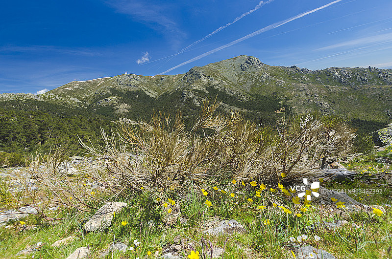 阳光明媚的瓜达拉马国家公园图片素材