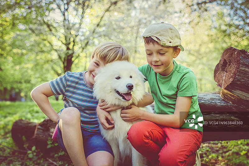 和他们的狗玩耍的小男孩们图片素材