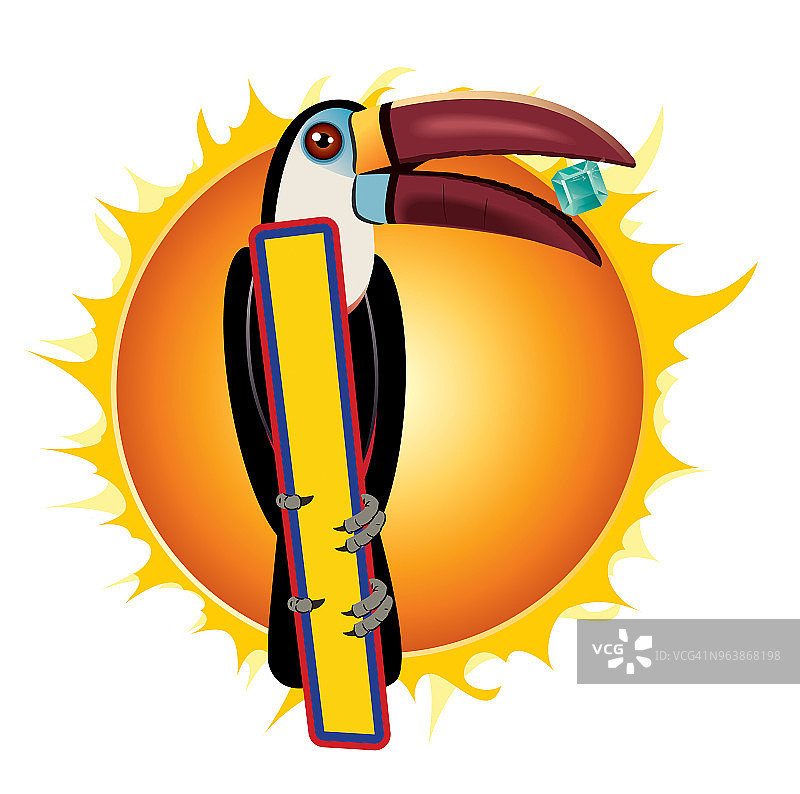 巨嘴鸟图片素材