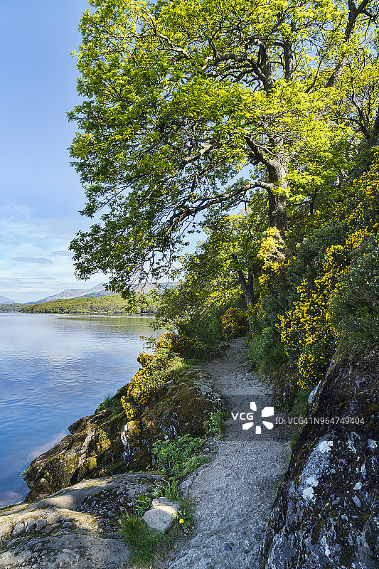 从巴尔马哈眺望洛蒙德湖北部图片素材