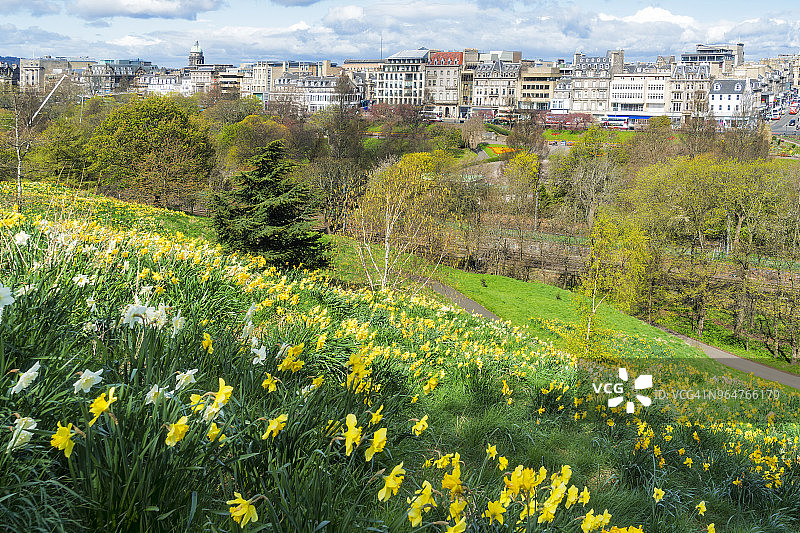 从堤岸望向爱丁堡王子街的水仙花，苏格兰图片素材