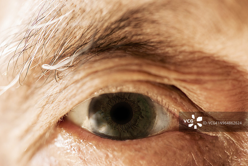 老年男人眼睛图片素材