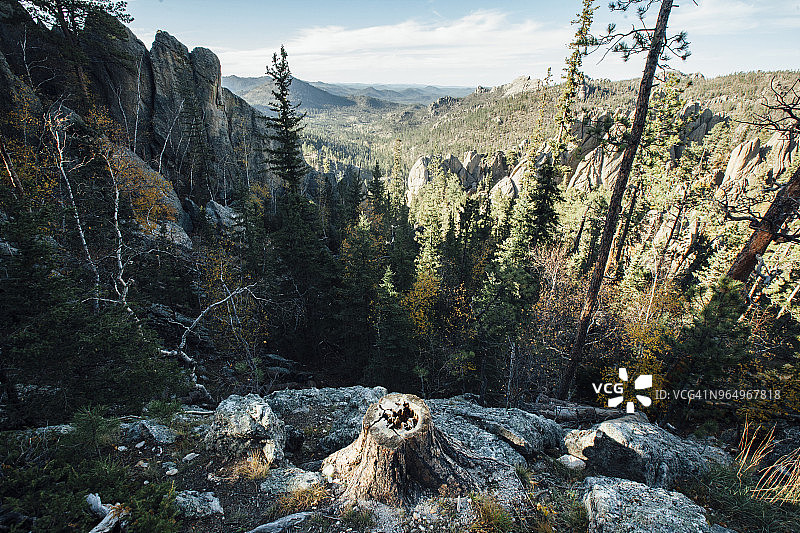 山脉树木高角度景观图片素材