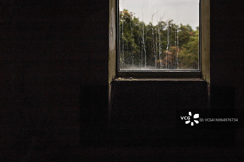 透过窗户看到的树木图片素材