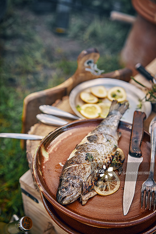 户外野餐用柠檬烤鱼配番茄沙拉图片素材