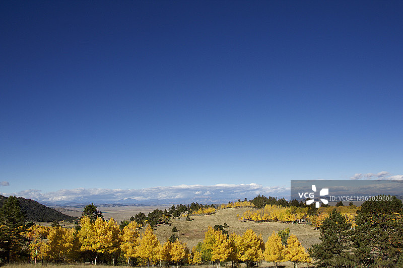 蓝天下的田野树木美景图片素材