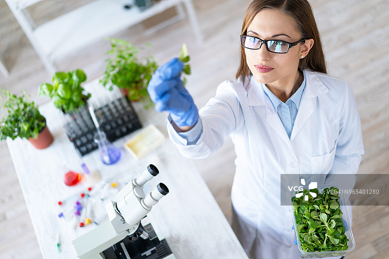 在实验室中研究植物的女性生物学家图片素材