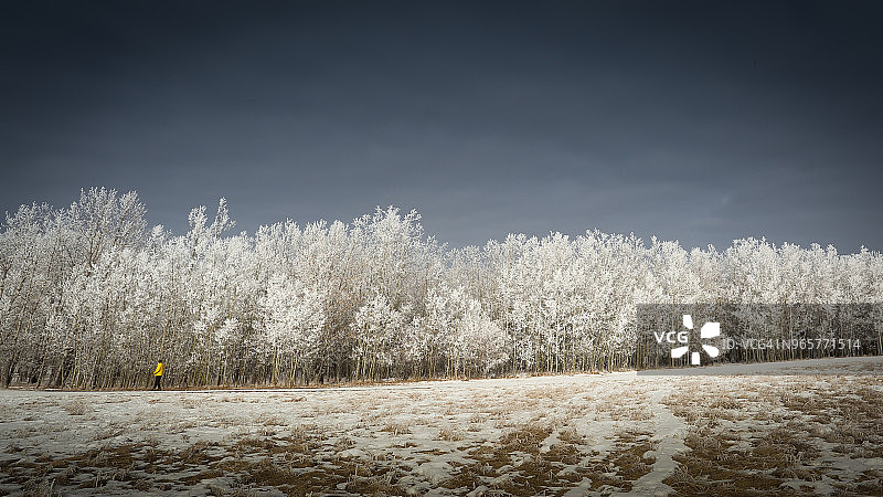 鼻子山公园图片素材