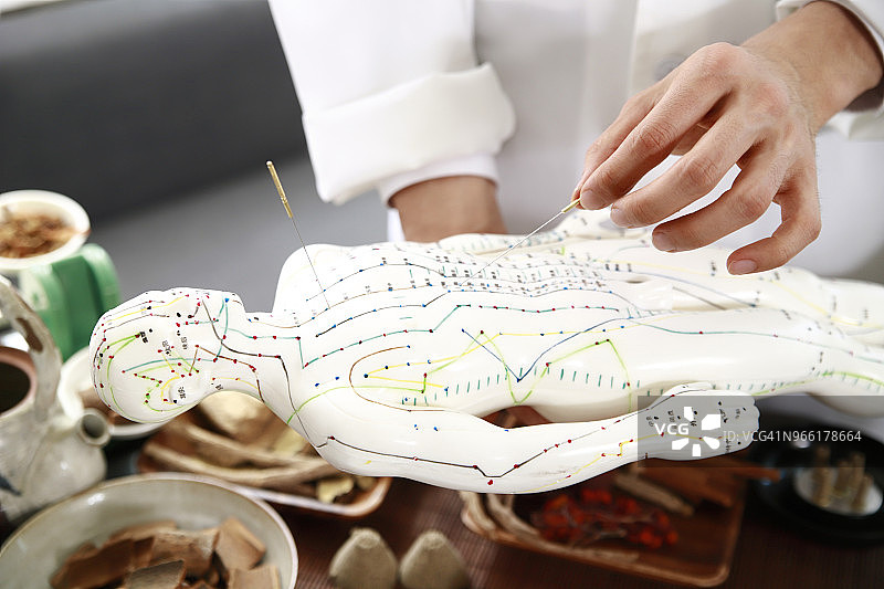 针灸师在针灸模型上施针图片素材