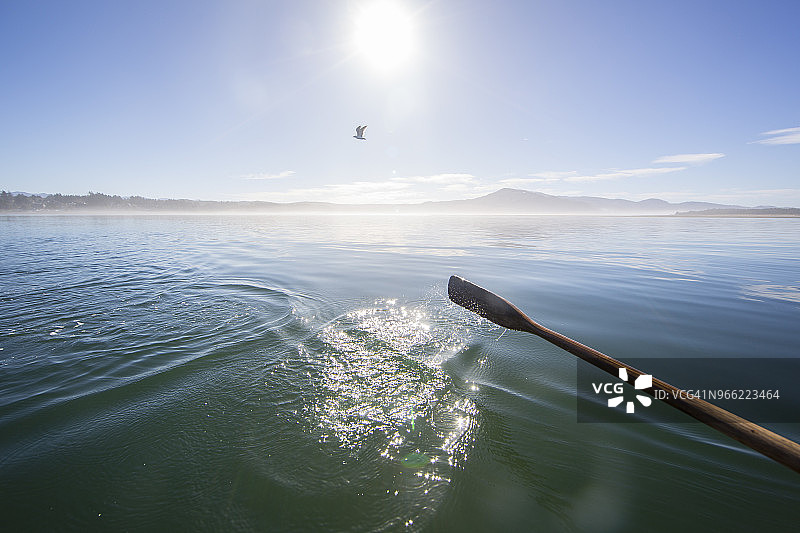 美国俄勒冈州内塔茨湾水域中的船桨图片素材