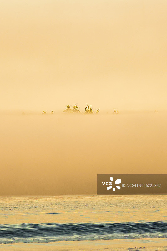 加拿大不列颠哥伦比亚省温哥华岛太平洋沿岸国家公园帕切纳湾的雾景图片素材