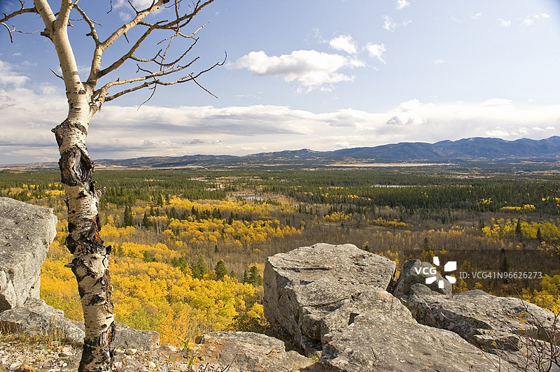 阿尔伯塔省博尔谷的秋季风景图片素材