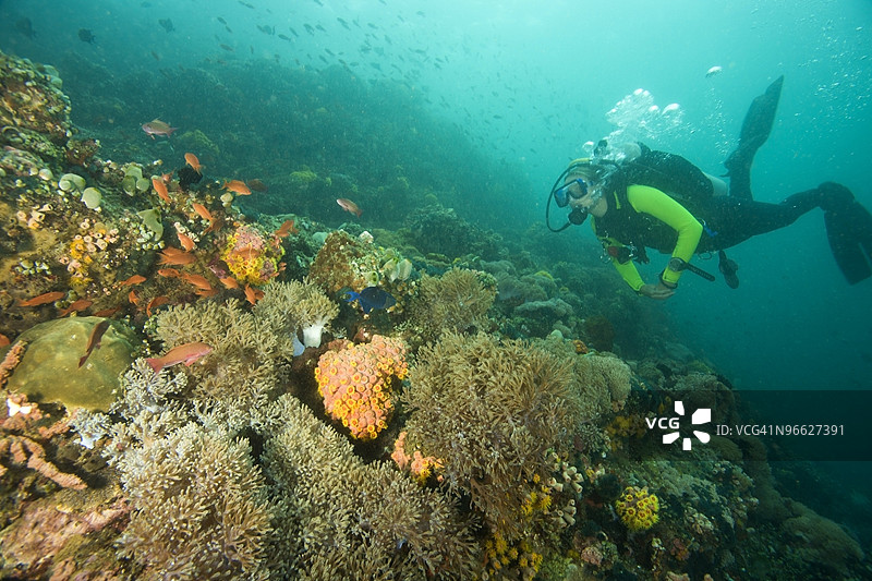 潜水员图片素材