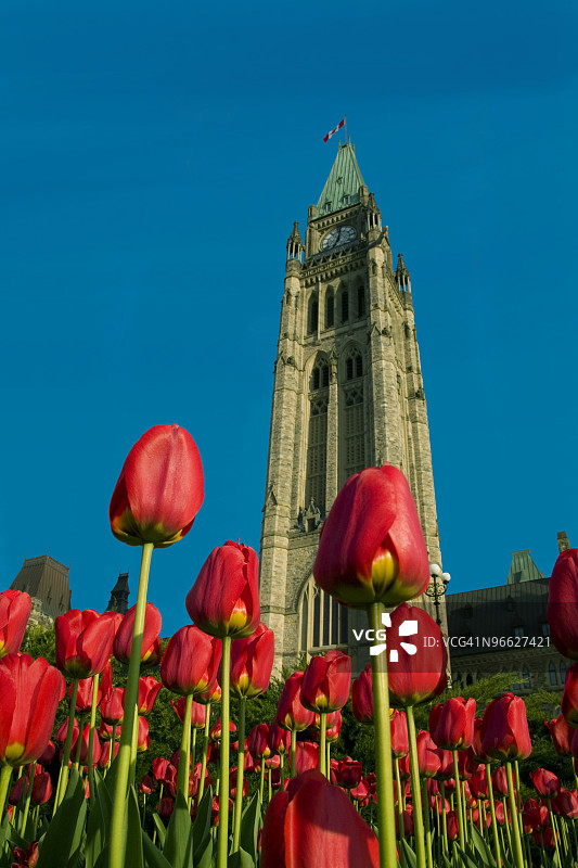 和平塔（议会山）图片素材