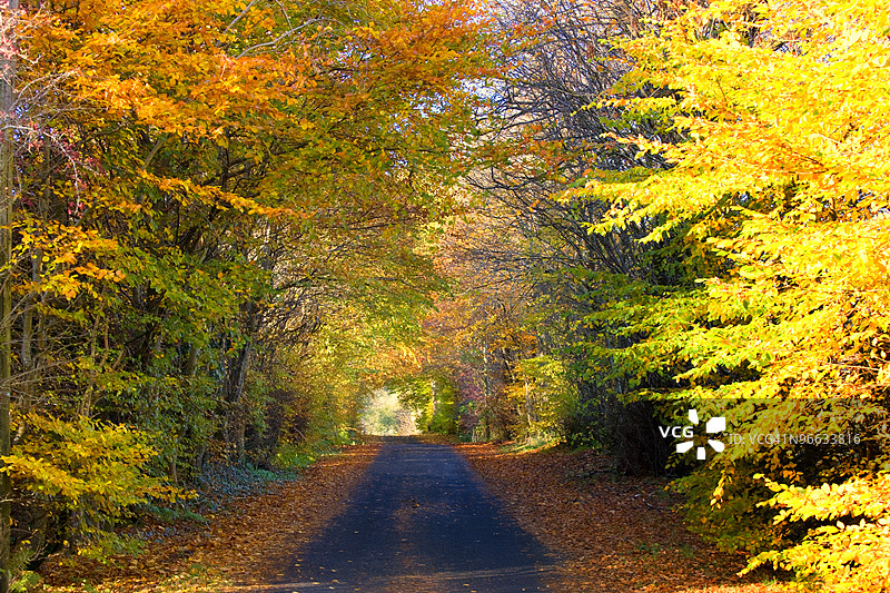 苏格兰阿盖尔和比特的乡村道路图片素材