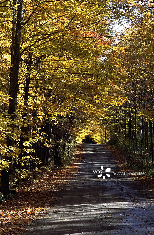 加拿大魁北克东部镇区的风景道路图片素材