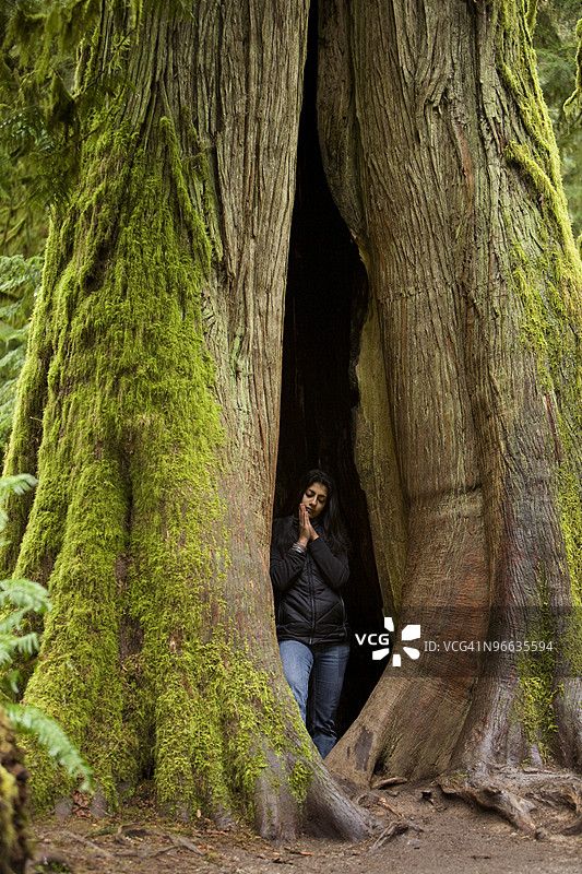 年轻女性在道格拉斯冷杉树内冥想图片素材