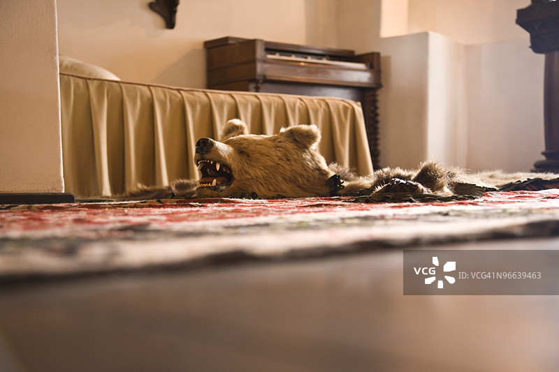 罗马尼亚布兰城堡13世纪的熊皮地毯图片素材