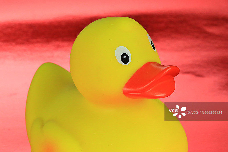 红色背景上的小黄鸭图片素材