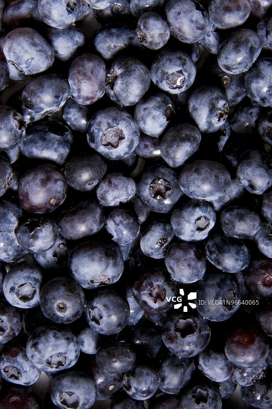 蓝莓图片素材