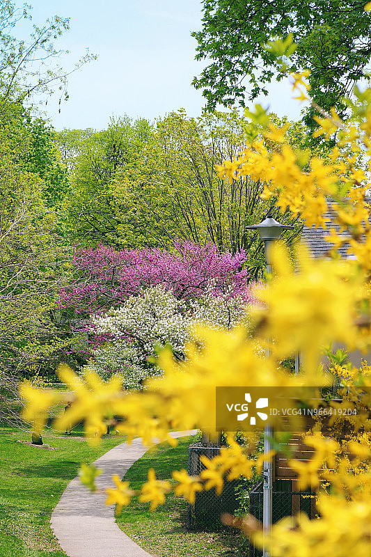 公园小径上的春天色彩图片素材