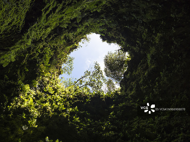 亚速尔群岛特塞拉岛湿润森林中大型洞穴状井内的火山洞穴景观图片素材