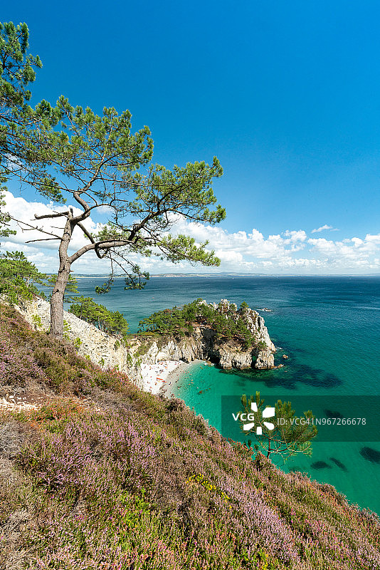 布列塔尼令人惊叹的夏天，克罗宗拥有美丽的白色沙滩“维尔日岛”图片素材