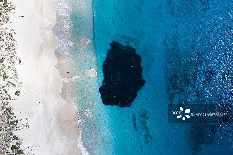 澳大利亚西澳大利亚卡纳封鲨鱼捕食饵球航拍图片素材