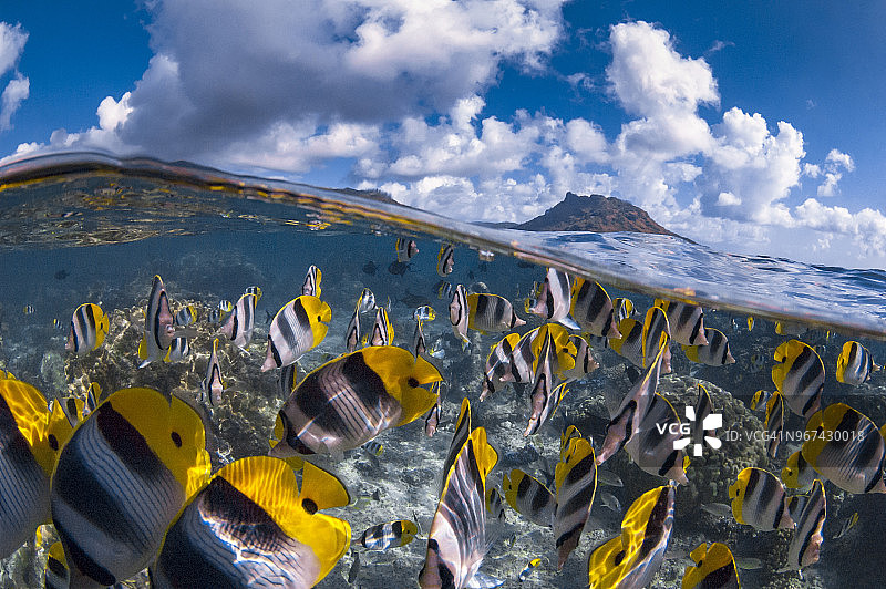 法属波利尼西亚华欣岛图片素材