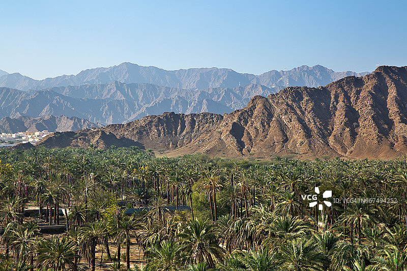 椰枣树、山脉与沙漠住所图片素材