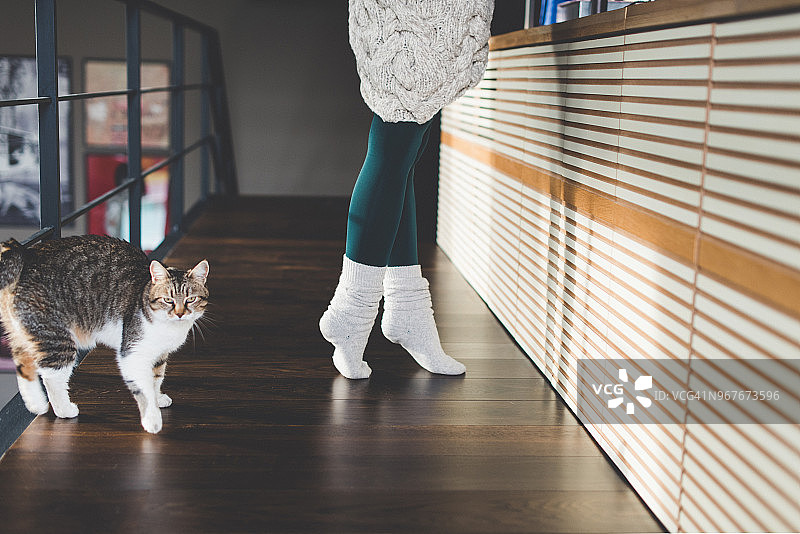 舒适的居家冬日图片素材