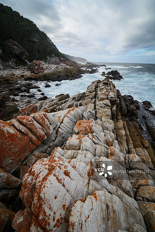 齐齐卡马国家公园的海岸岩层图片素材