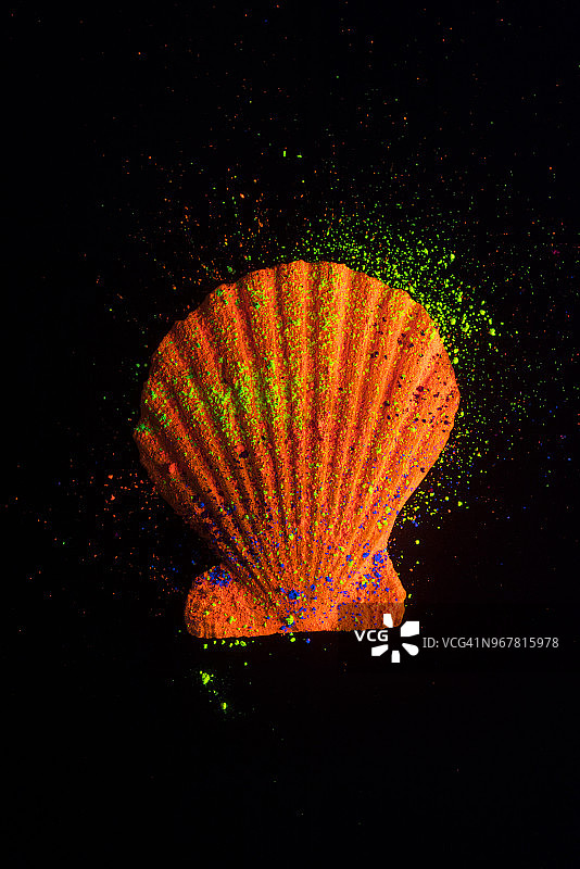 黑色背景上的彩色粉末蛤蜊图片素材