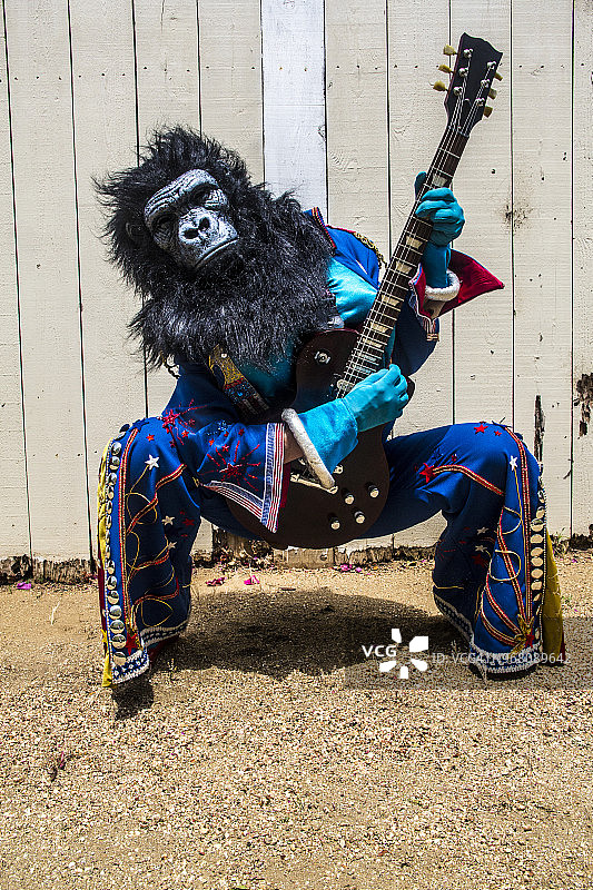 戴着大猩猩面具和穿着美国服装弹电吉他的男人图片素材