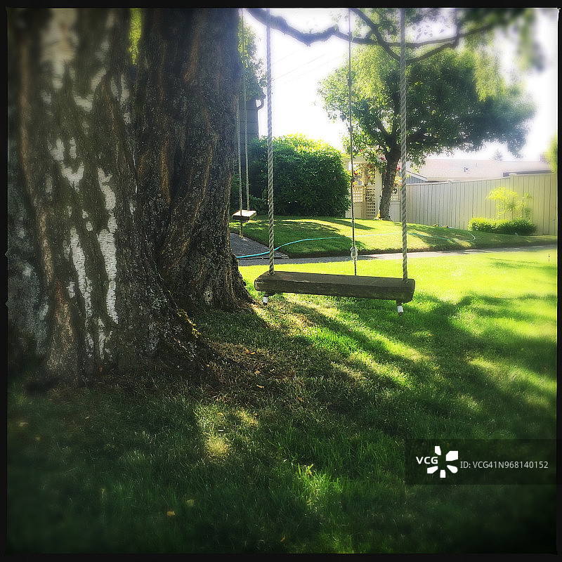 夏日树秋千图片素材