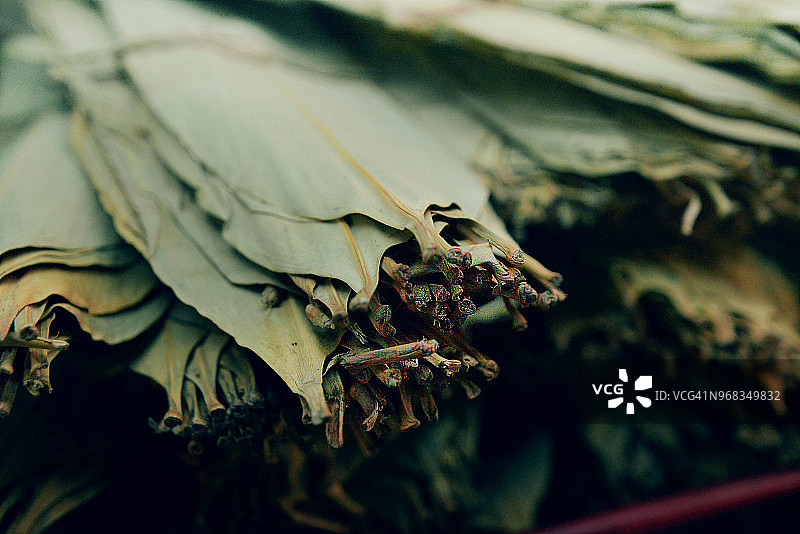 中国粽子图片素材