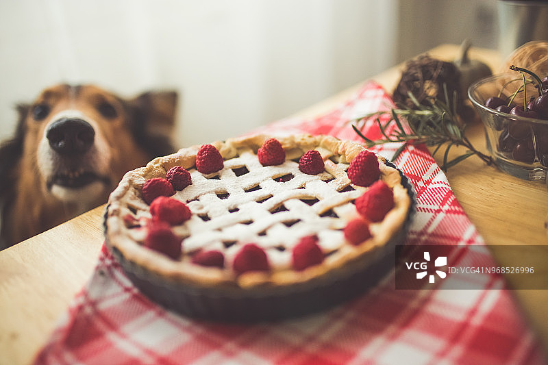 桌子上的东西图片素材