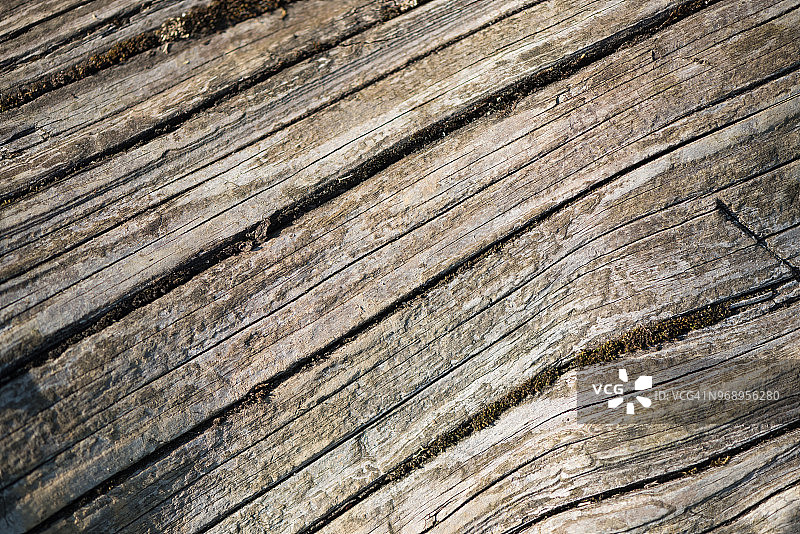 倒下的原木图片素材